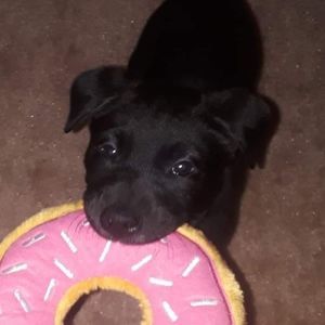 Meet your Posher, Nick